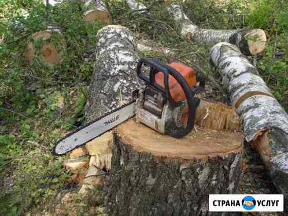 Расчистка участков, уборка территории, спил деревь Краснодар