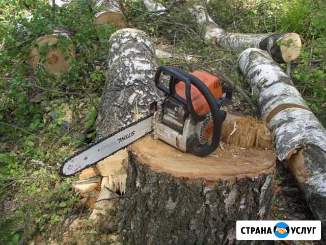 Расчистка участков, уборка территории, спил деревь Краснодар - изображение 1