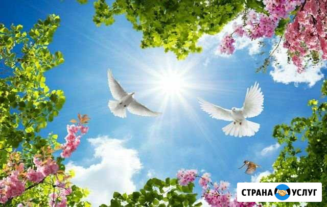 Натяжные потолки Ижевск - изображение 1