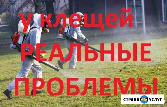 Обработка от клещей любых территорий качество Красноярск - изображение 1