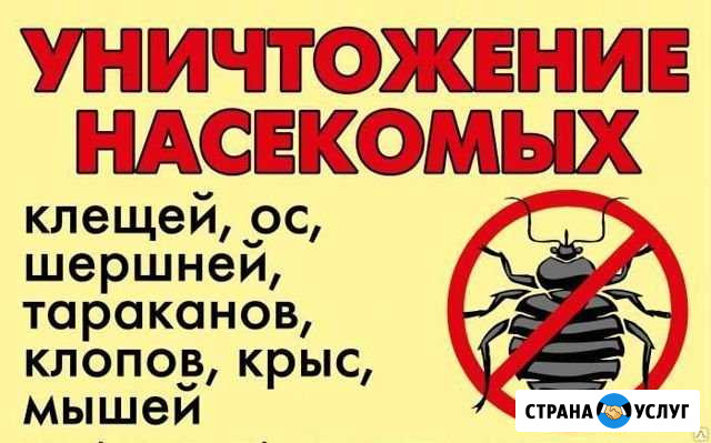 Обработка от насекомых, и грызунов Уфа - изображение 1