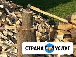 Дрова Гурьевск - изображение 1