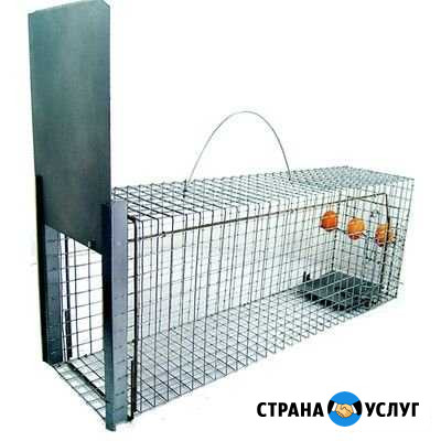 Котоловка аренда Магнитогорск - изображение 1