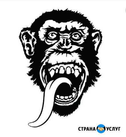 Ремонт автомобилей,мотоциклов,квадроциклов,снегохо Топки - изображение 1