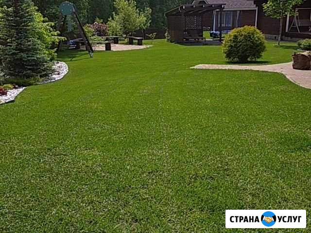 Качественная стрижка газона Ижевск - изображение 1