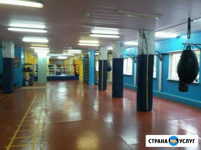 Тренировки по боксу Волгоград - изображение 1