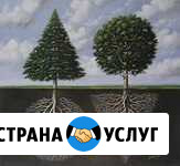 Приходящий системный администратор Тула - изображение 1