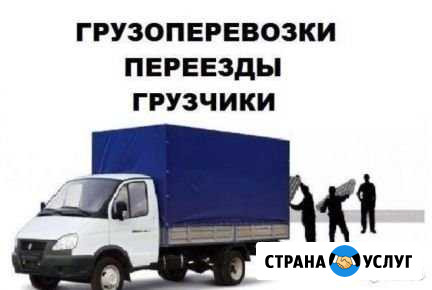 Грузоперевозки Калининград - изображение 1