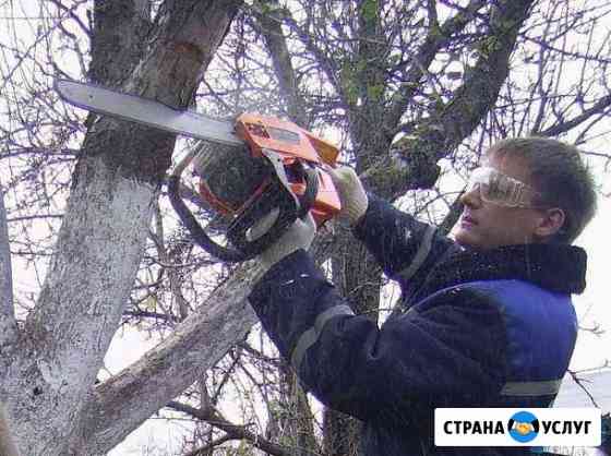 Спил деревьев и опиловка плодовых покос травы Новомосковск