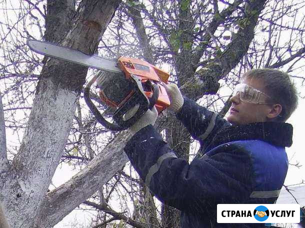 Спил деревьев и опиловка плодовых покос травы Новомосковск - изображение 1