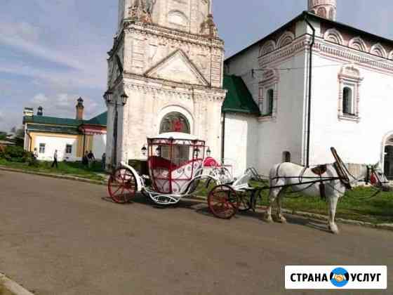 Катание на лошадях с экскурсией Суздаль