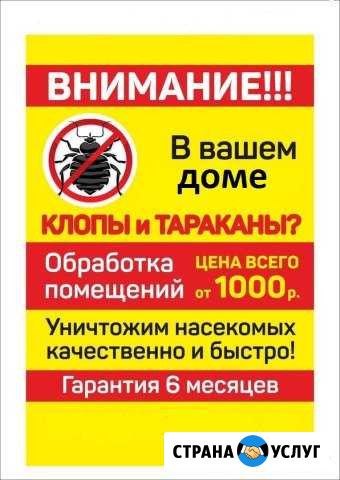 Уничтожение Клопов,Тараканов Северодвинск - изображение 1