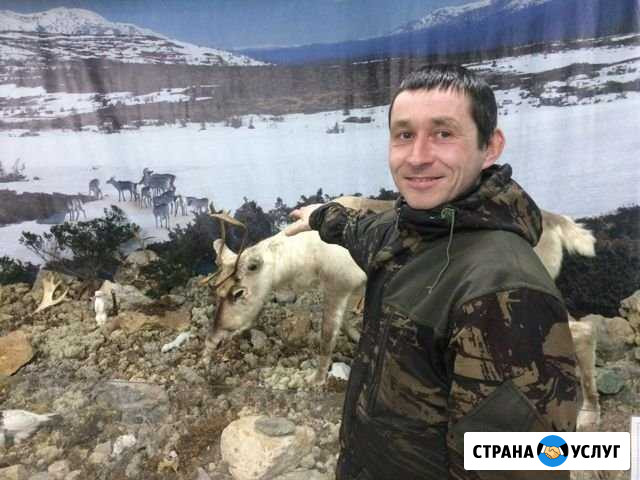 Полюд, Ветлан, Говорливый Камень Красновишерск - изображение 1