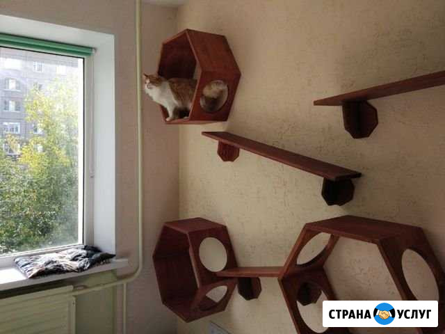 Зоогостиница,передержка для кошек Ижевск - изображение 1