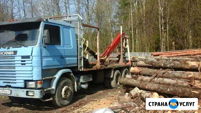 Валка,трелевка,погрузка,вывозка,распиловка древеси Рощино - изображение 1