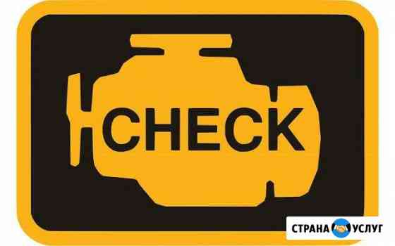 Диагностика автомобиля считывание и сброс Check Нижний Новгород
