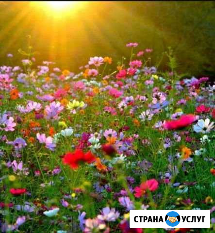 Уборка могил Луганск Л.Н.Р. Жовтневый район Донецк - изображение 1