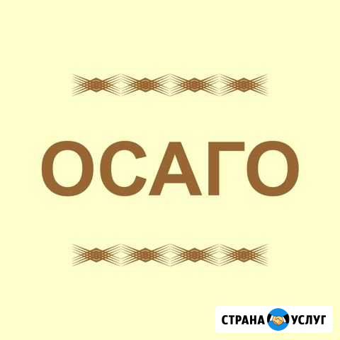 Помощь по внесению данных в полис осаго Воронеж - изображение 1