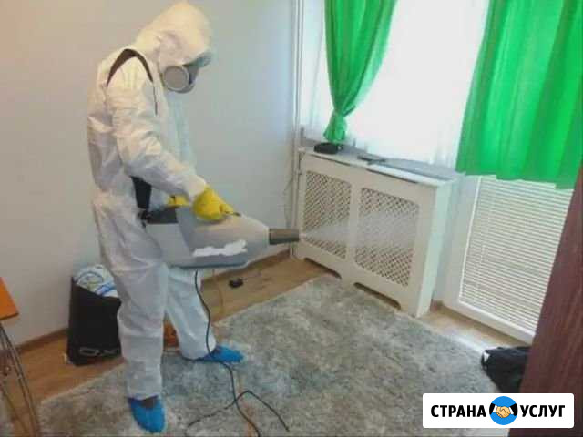 Дезинфекция, дезинсекция, дератизация Оренбург - изображение 1