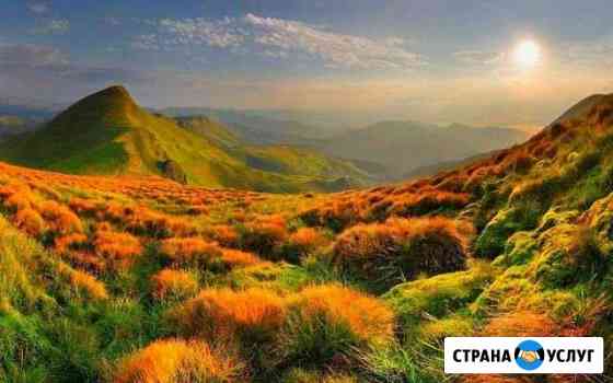 Межевание и техпланы Новосибирск