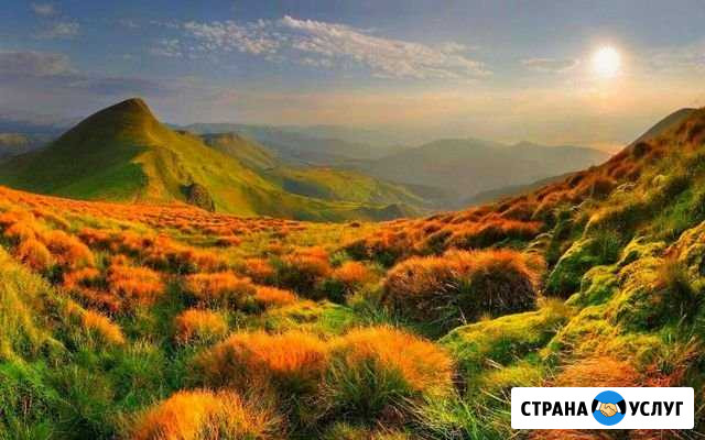 Межевание и техпланы Новосибирск - изображение 1