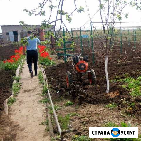 Вспашка земли Энгельс Энгельс - изображение 1