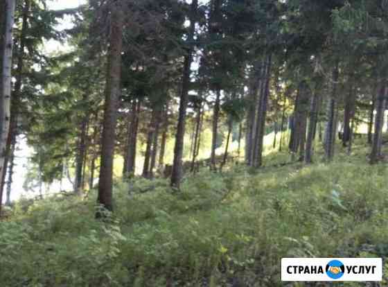 Рассчистка участка Пермь