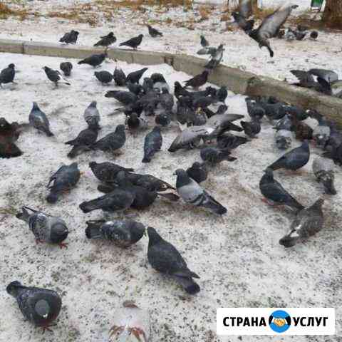 Видеоклип, видеоролик, слайдшоу Челябинск