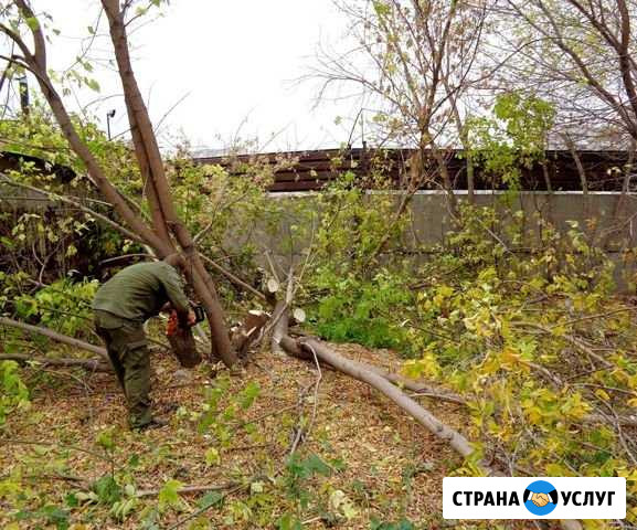 Уборка участка.Корчевание.Спил деревьев.Покос трав Самара - изображение 1