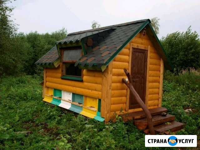 Сон на ульях, карельский мёд Кондопога - изображение 1
