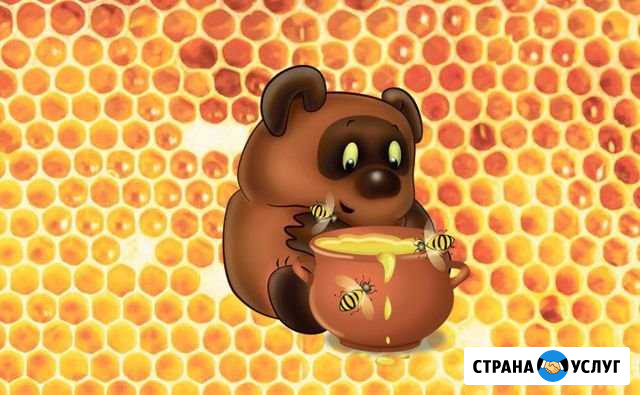 Продаю цветочный мёд Барда - изображение 1