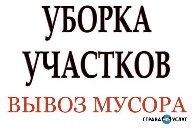 Вывоз мусора. Уборка участков. Демонтаж. Снос Выборг - изображение 1