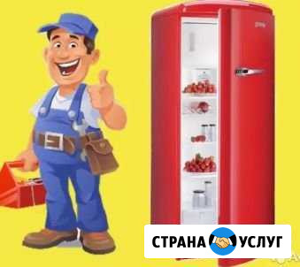 Ремонт холодильников Долгопрудный - изображение 1