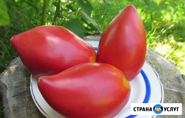 Продукты Красноярск - изображение 1