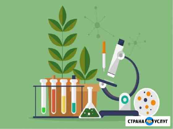 Репетитор по Биологии Самара