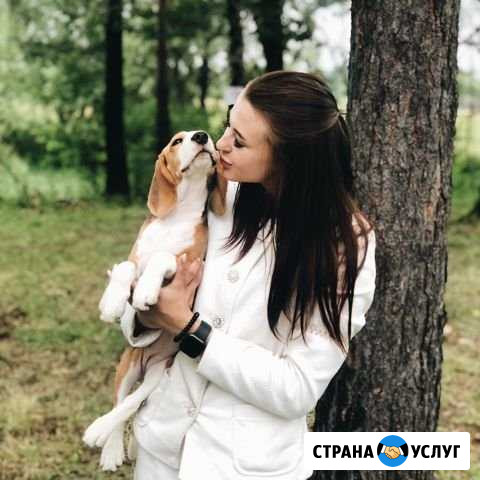 Хендлер (демонстрация собаки на выставке) Хабаровск - изображение 1