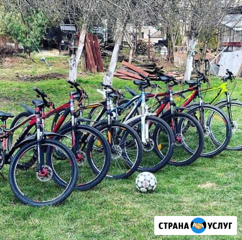 Велопрокат Селятино - изображение 1