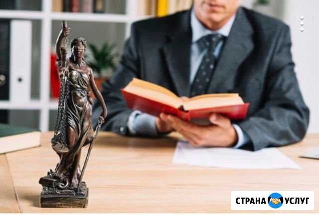 Юрист, суд и договоры Волгоград - изображение 1