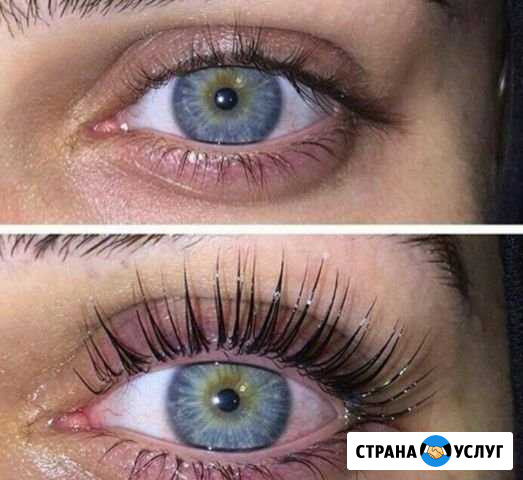 Курсы, обучение. гель лак, маникюр, ресницы Нижний Тагил - изображение 1