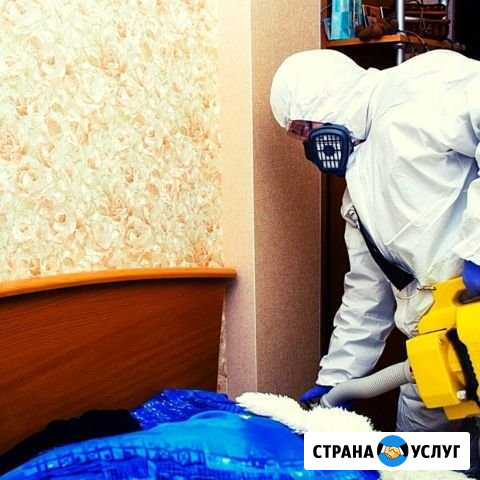 Обработка от насекомых и грызунов Челябинск - изображение 1