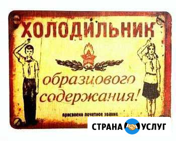 Ремонт холодильников Нижнекамск - изображение 1