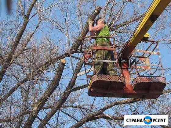 Спиливание Кронирование, Удаление деревьев, пней Пермь