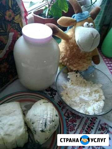 Экопродукты из козьего молока Острогожск - изображение 1