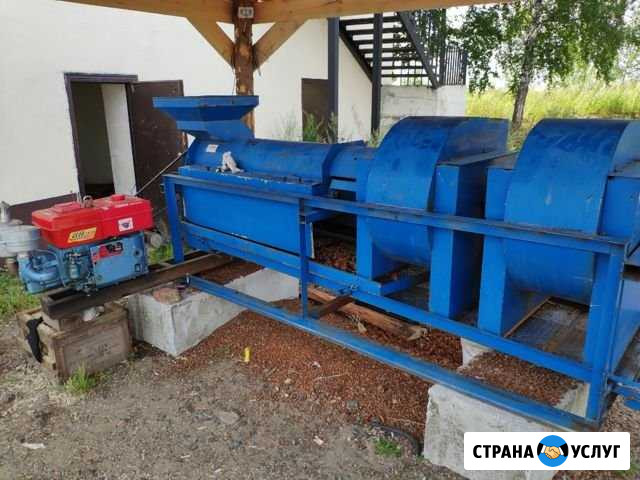 Переработка кедровой шишки Томск - изображение 1