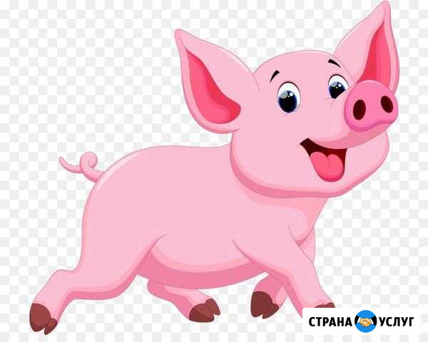 Продам мясо свинины и говядины Ангарск - изображение 1