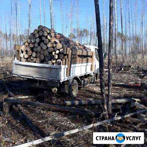 Дрова Иркутск