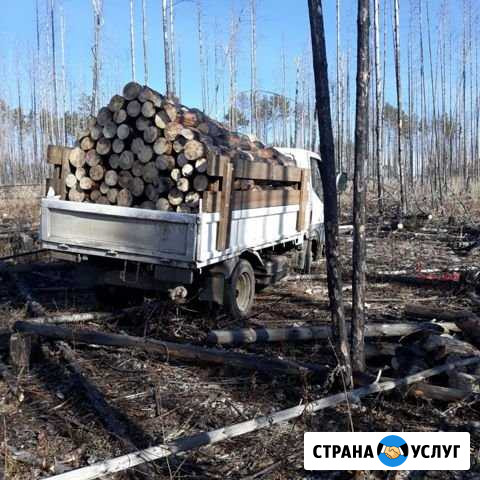 Дрова Иркутск - изображение 1