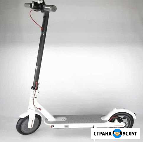 Ремонт xiaomi Санкт-Петербург - изображение 1