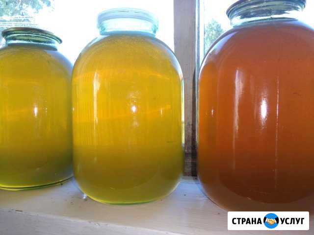 Натуральный мед. Мед в сотах Уфа - изображение 1