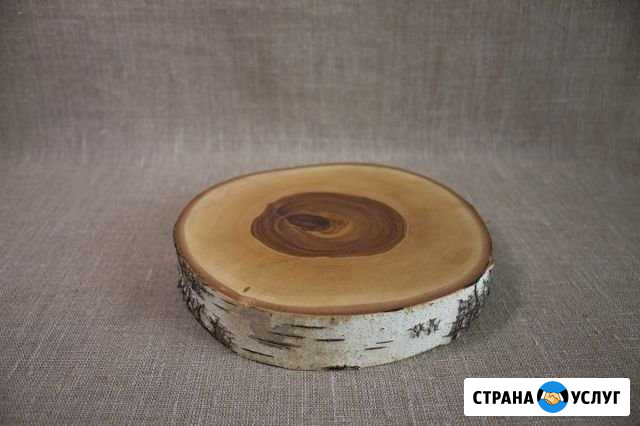 Срез спил березового дерева Славгород - изображение 1